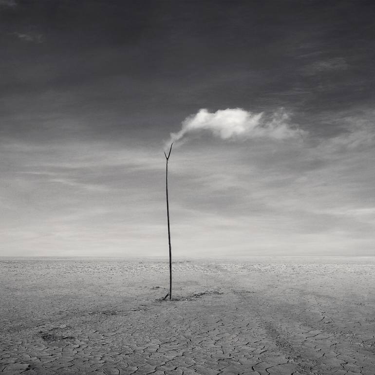 Original Fantasy Photography by Kasia Derwinska | Conceptual Art on Paper | the tree which dreamed to be a cloud - Limited Edition 1 of 20