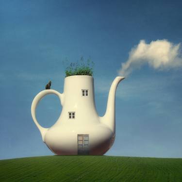 Print of Conceptual Home Photography by Kasia Derwinska