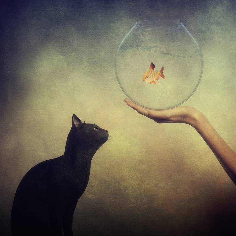 Original Conceptual Animal Photography by Kasia Derwinska