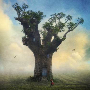 Print of Conceptual Tree Photography by Kasia Derwinska