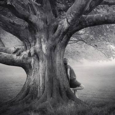 Print of Tree Photography by Kasia Derwinska