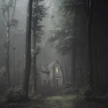 Print of Conceptual Home Photography by Kasia Derwinska