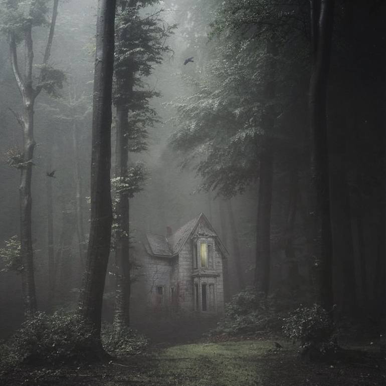 Original Home Photography by Kasia Derwinska | Conceptual Art on Paper | the house on the borderline - Limited Edition of 20