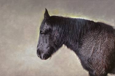 Print of Fine Art Animal Paintings by simon royer