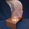 Installation (sculpture, lamp); head sculpture (copper mesh) on a metal base (brown oil paint), with LED illumination (2W, 230V). Cable in a transparent sheath.