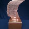 Installation (sculpture, lamp); head sculpture (copper mesh) on a metal base (brown oil paint), with LED illumination (2W, 230V). Cable in a transparent sheath.