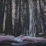 Dark Trees by Emily Hillier