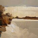 Zederik in tegenlicht by Frank Dekkers