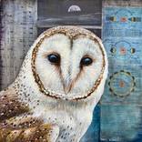 Barn Owl Earthrise by Maya Kuvaja