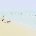 Shore 34 by Yigal Pardo