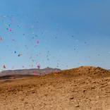 Confettical landscape # 54 by Yigal Pardo