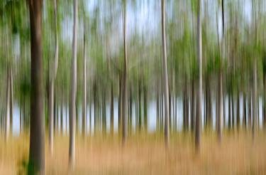 Print of Abstract Expressionism Nature Photography by Yigal Pardo