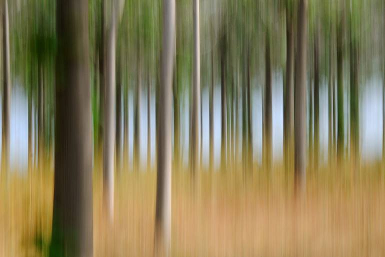 Original Abstract Expressionism Nature Photography by Yigal Pardo