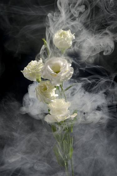 Original Fine Art Floral Photography by Yigal Pardo