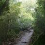 Signed & numbered with Certificate of Authenticity.
Path in a forest with limited depth of field.