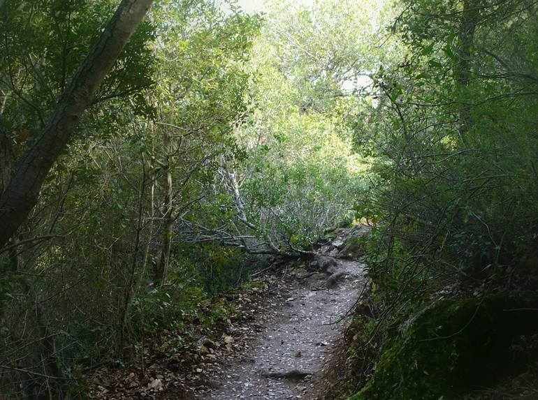 Original Other Nature Photography by Yigal Pardo
