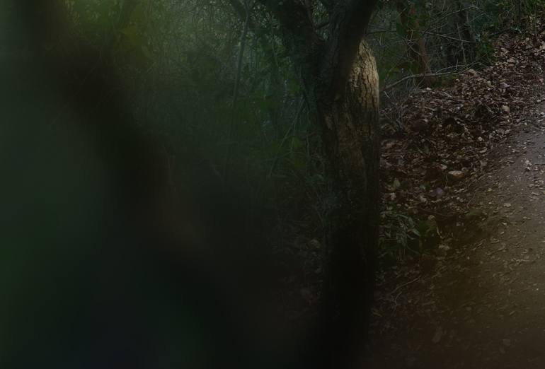 Original Other Nature Photography by Yigal Pardo