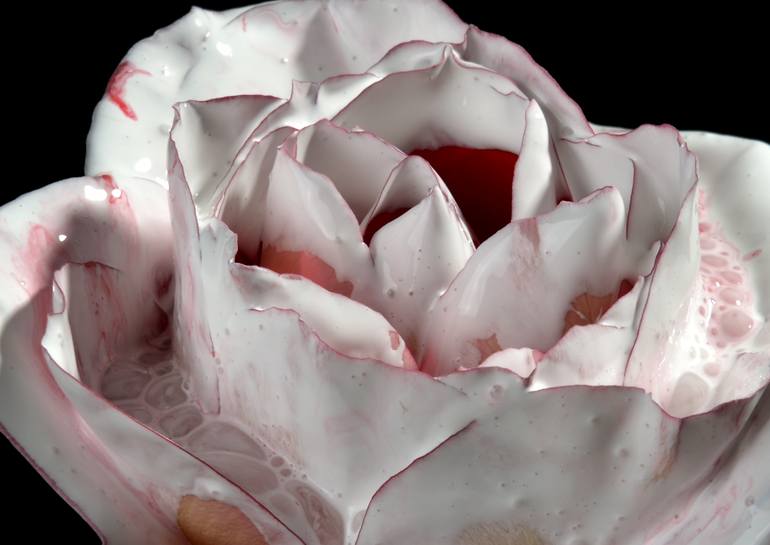 Original Other Floral Photography by Yigal Pardo