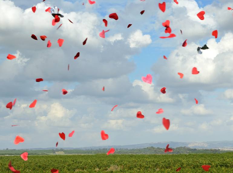 Original Other Landscape Photography by Yigal Pardo