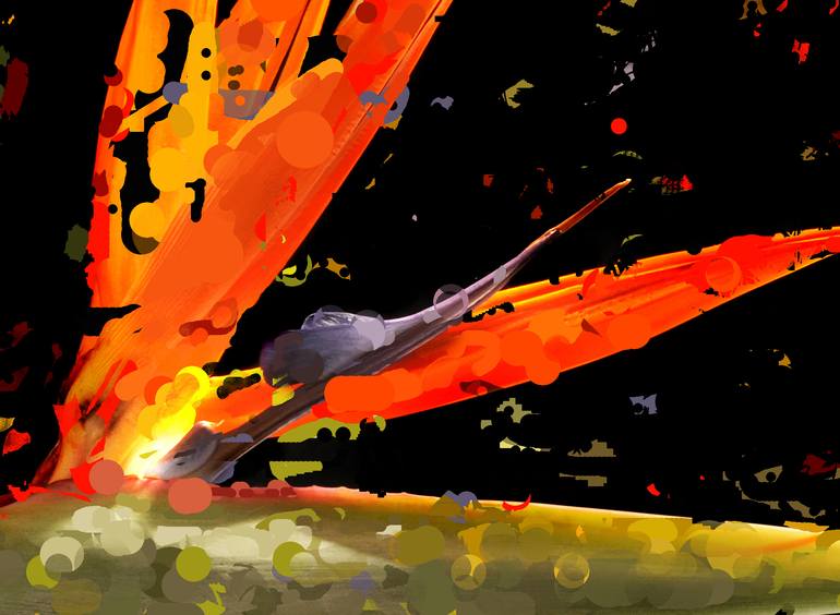 Original Abstract Expressionism Floral Photography by Yigal Pardo