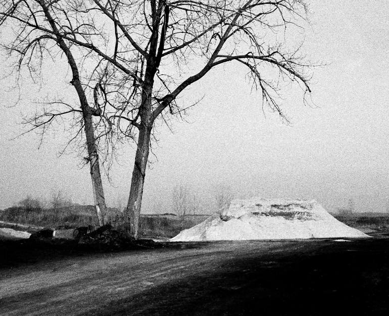 Original Other Landscape Photography by Yigal Pardo