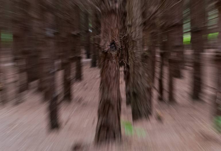 Original Other Landscape Photography by Yigal Pardo