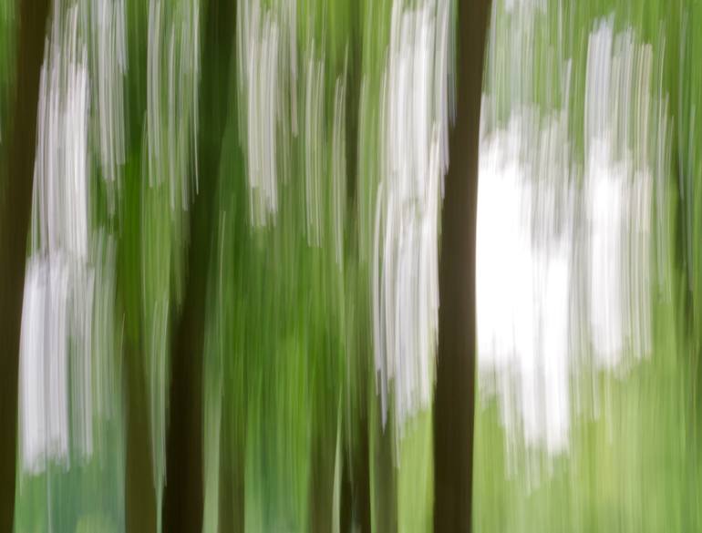 Original Abstract Nature Photography by Yigal Pardo
