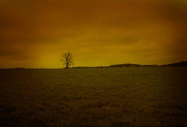 Original Fine Art Landscape Photography by Yigal Pardo