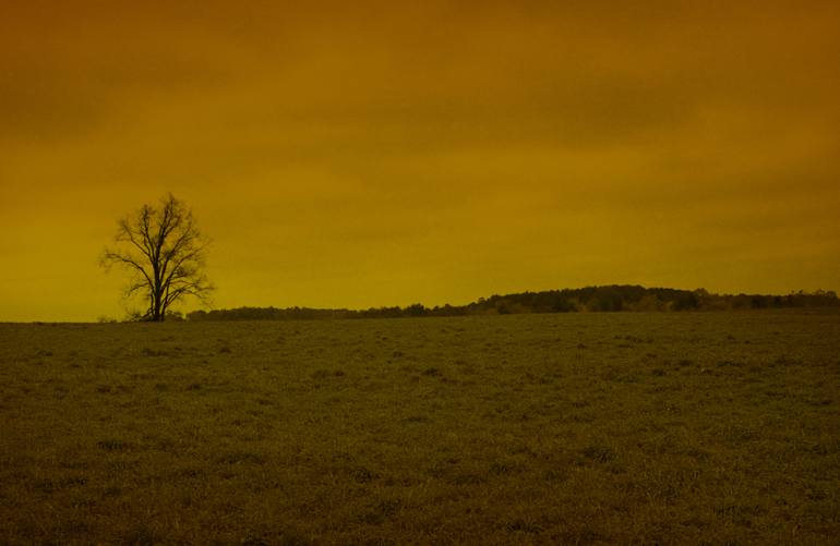 Original Fine Art Landscape Photography by Yigal Pardo