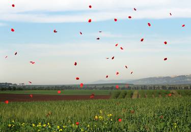 Print of Fine Art Landscape Photography by Yigal Pardo