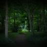 view additional image 1