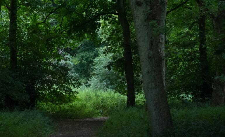 Original Other Nature Photography by Yigal Pardo