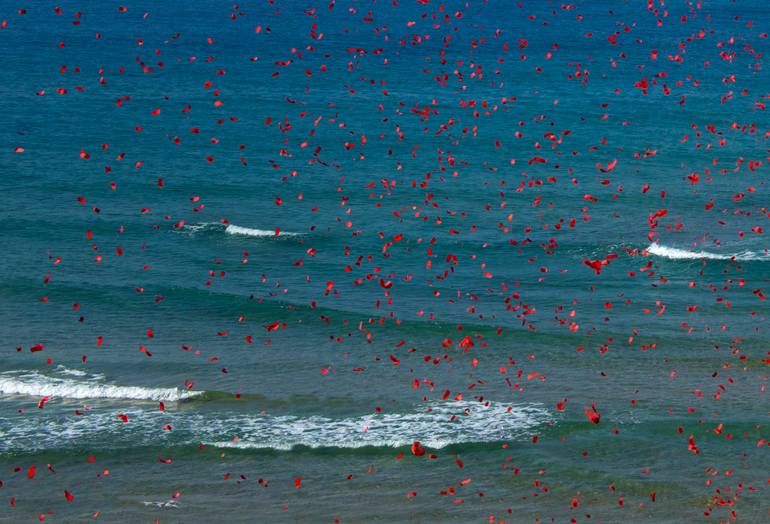 Original Abstract Expressionism Seascape Photography by Yigal Pardo