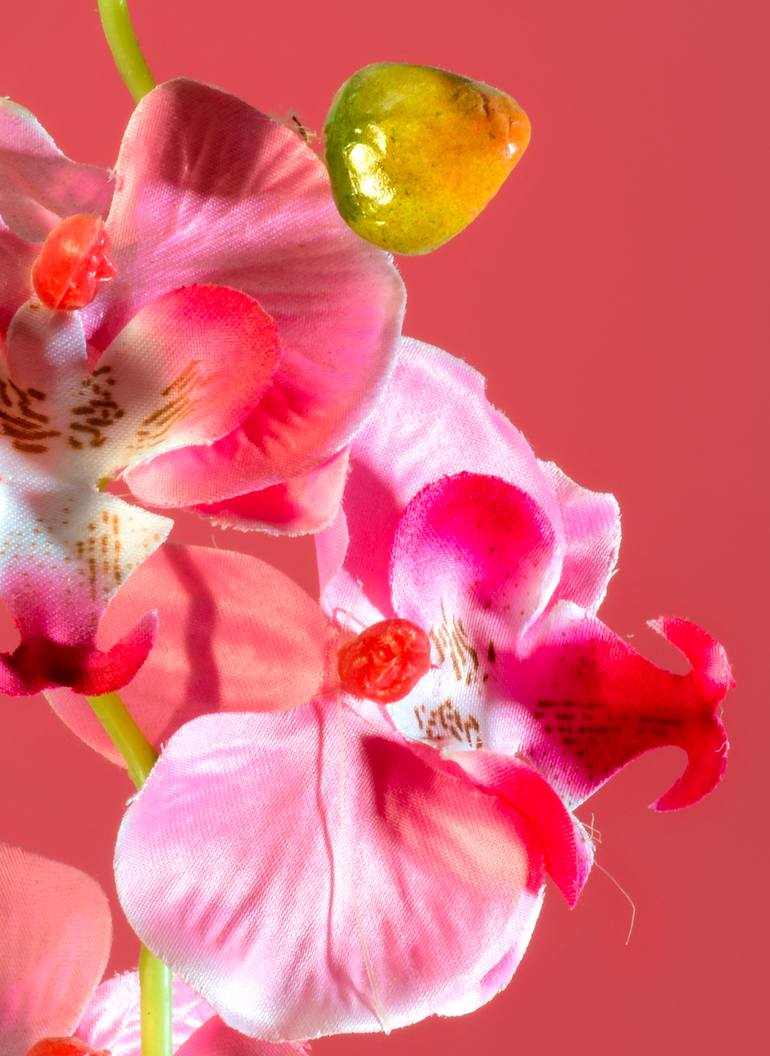 Original Fine Art Floral Photography by Yigal Pardo