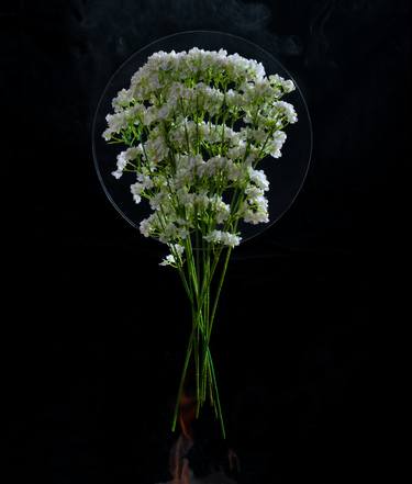 Print of Fine Art Floral Photography by Yigal Pardo