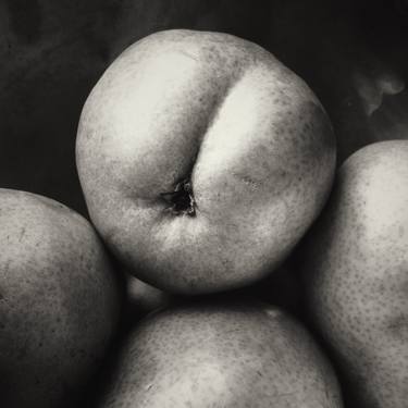 Original Figurative Still Life Photography by Camile O'Briant