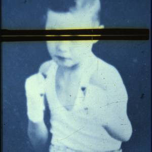 100 Curators Collection