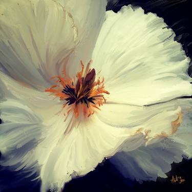 Delicate White Flower thumb