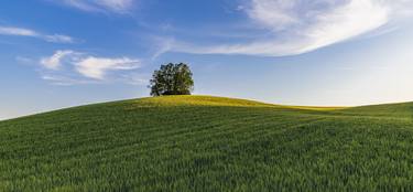 Print of Minimalism Landscape Photography by Alessandro Anglisani