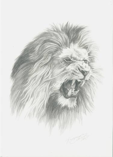 Print of Fine Art Animal Drawings by Olena Kamenetska-Ostapchuk