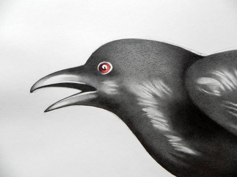 Original Animal Drawing by Federico Cortese