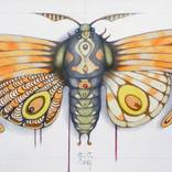 Collection Dragonflies - Butterflies & Snails in Art