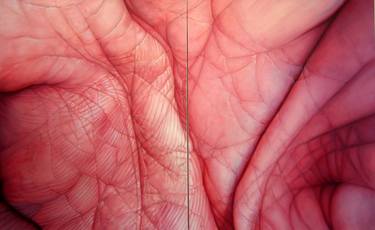 Skin Map Diptych thumb