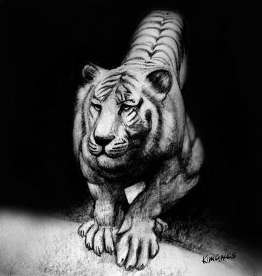 Original Realism Animal Drawings by ΚΙΜ GAUGE