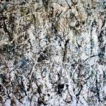 Collection Inspired by Jackson Pollock