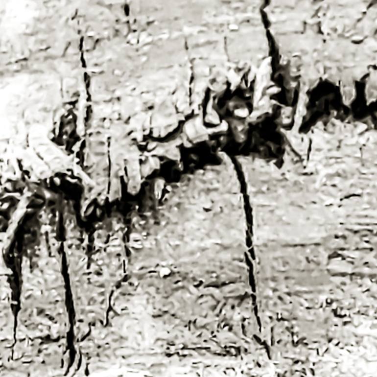 Original Realism Nature Photography by Charles Letbetter