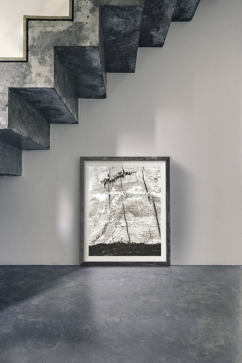 Original Realism Nature Photography by Charles Letbetter