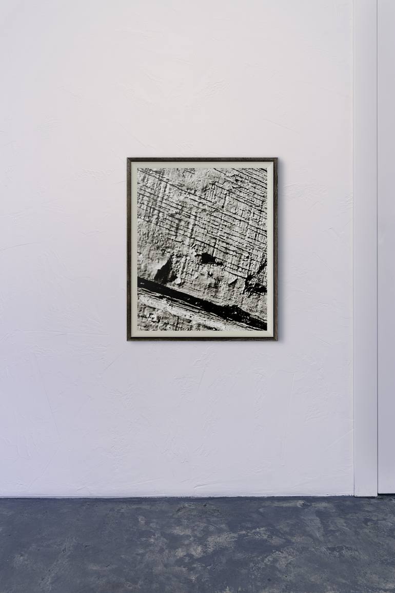 Original Photorealism Nature Photography by Charles Letbetter