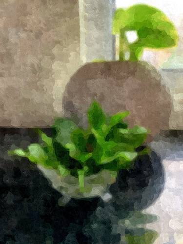 A Tranquil Green Glow thumb