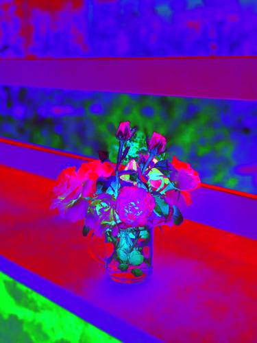 Original Art Deco Nature Photography by Nasrin Barekat